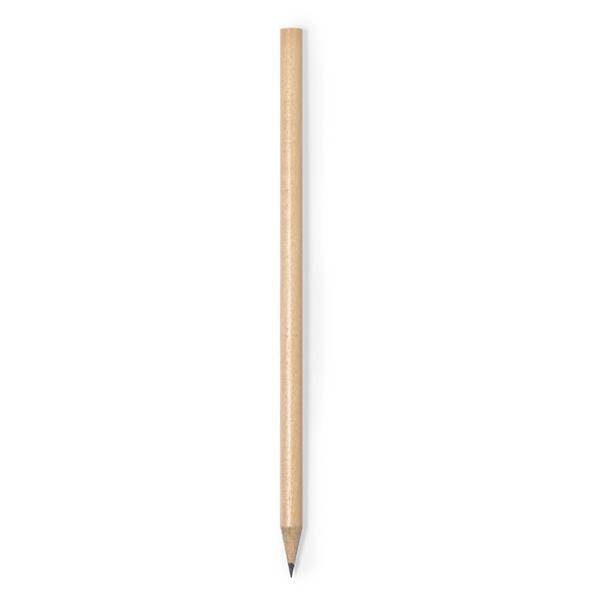 Ołówek, nasiona sosny - V2049-17-3354951