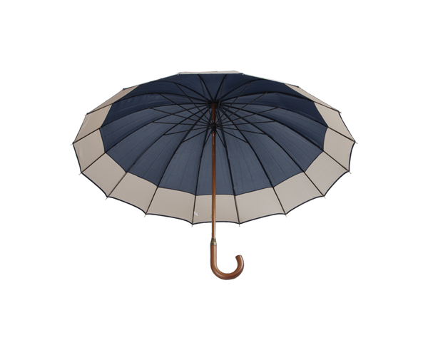 parasol Monaco-2021583