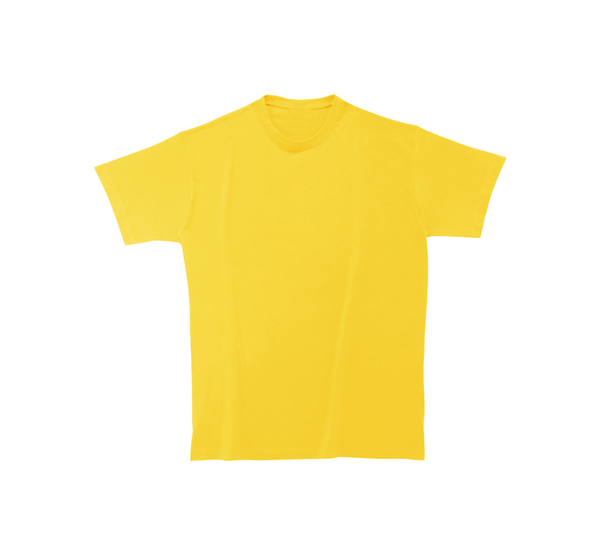 t-shirt / koszulka Softstyle Man-2016438