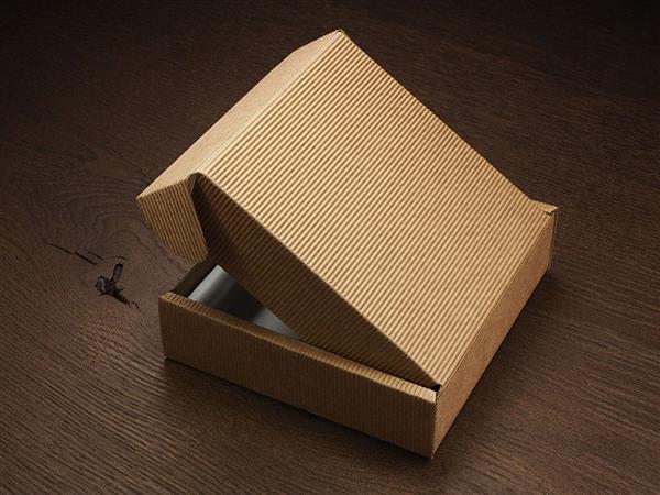 Pudełko (20,5x20,5x3,2cm)-2440383