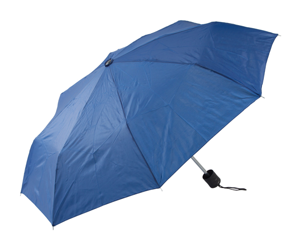 parasol Mint-2023177
