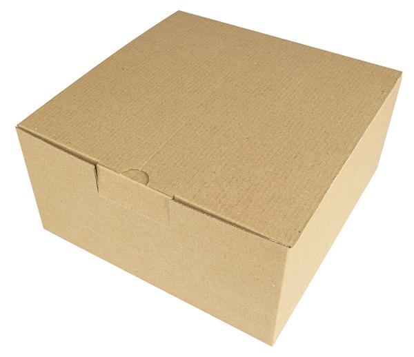 Pudełko kartonowe - 21,5 x 21,5 x 10,5 cm-1931966