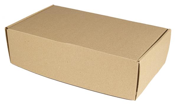 Pudełko kartonowe - 29,5 x 16,5 x 8 cm-1932111
