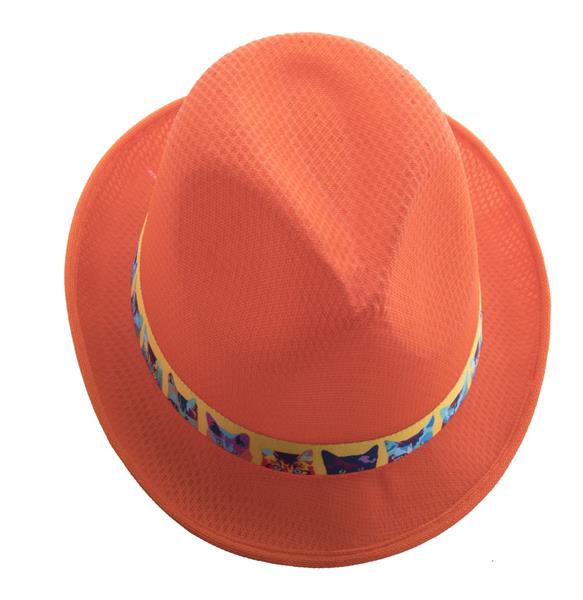 sublimacyjna tasiemka do kapeluszy słomkowych Subrero-764597