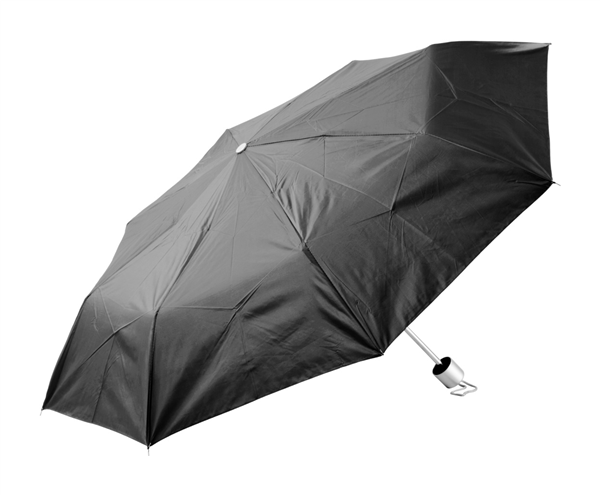 parasol Susan-2019349