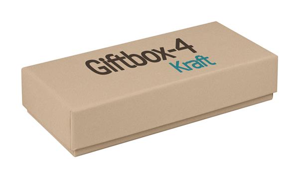 Giftbox-4 Kraft-3099633