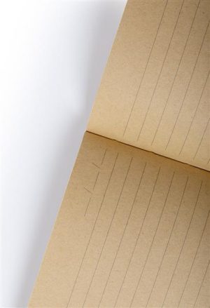 notes Hemmy.jpg