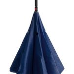 odwrócony parasol Hamfrey