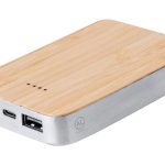 power bank Newin