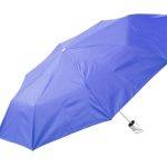 parasol Susan