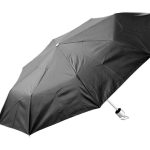 parasol Susan