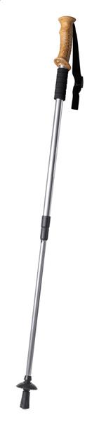 kij do nordic walking Sells