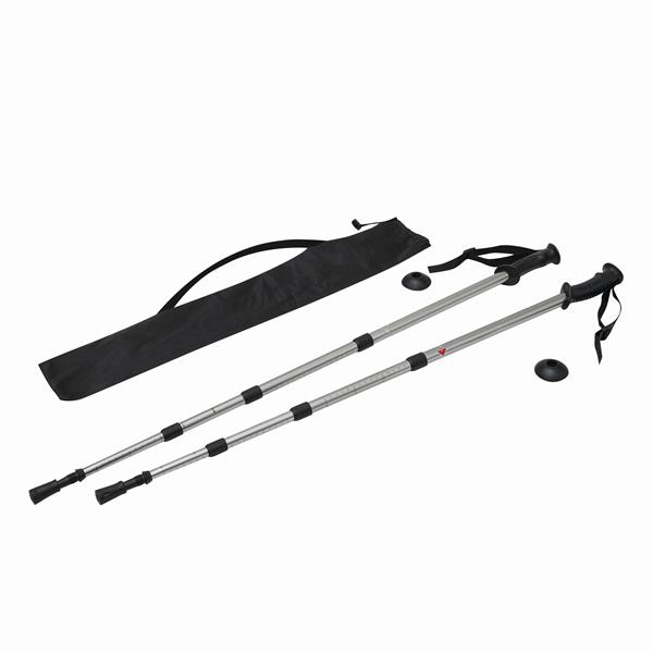 FIT AND FUN - Kijki trekkingowe - czarny, srebrny