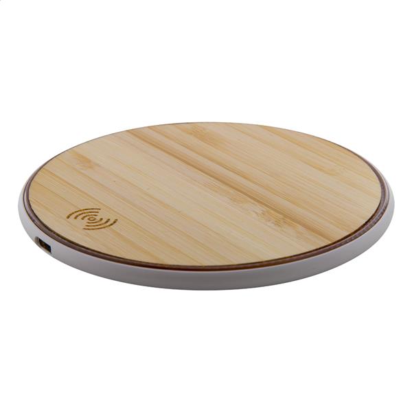 ładowarka indukcyjna Energa