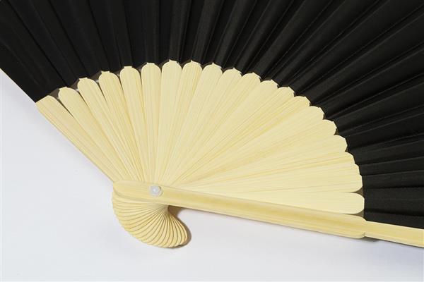 wachlarz RPET Repper