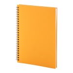 notes Strobus A5