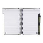 notes  Balsamea
