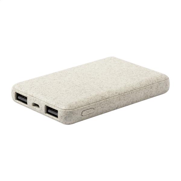 power bank Durum