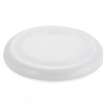 Frisbee ZING
