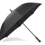 Parasol DIZZES