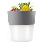 Setty nawilżacz powietrza NP-18 szary