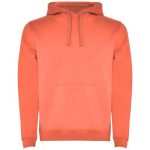 Urban męska bluza z kapturem 280 g/m2