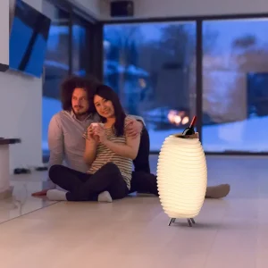 Lampa z głośnikiem i coolerem Kooduu Synergy 50 — zdjęcie produktu
